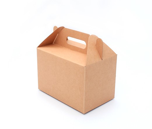 Takeaway Boxes