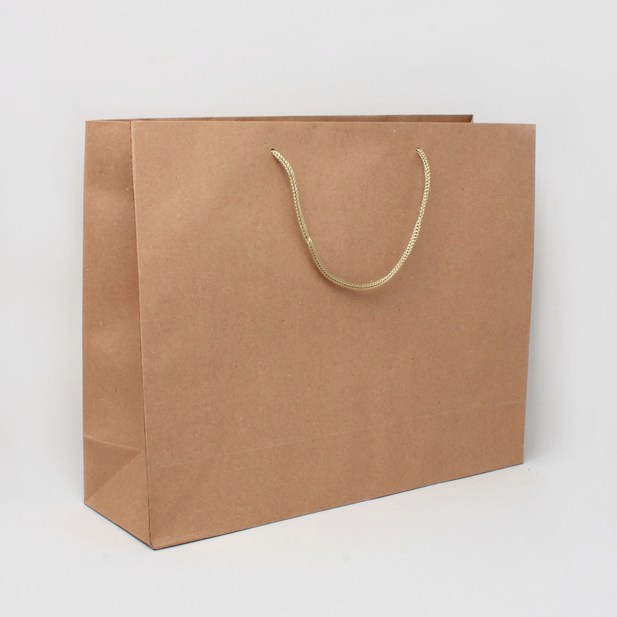 Brown Kraft Paper Carrier Bag With Handles