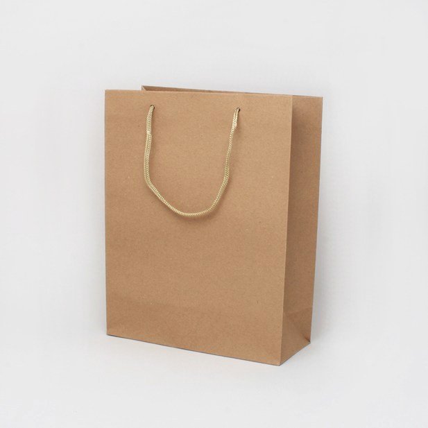 Kraft Gift Bag