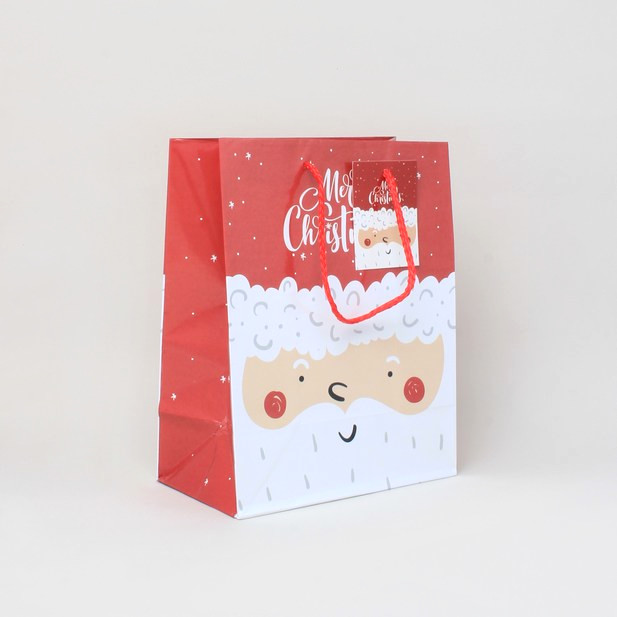 Christmas santa gift bag