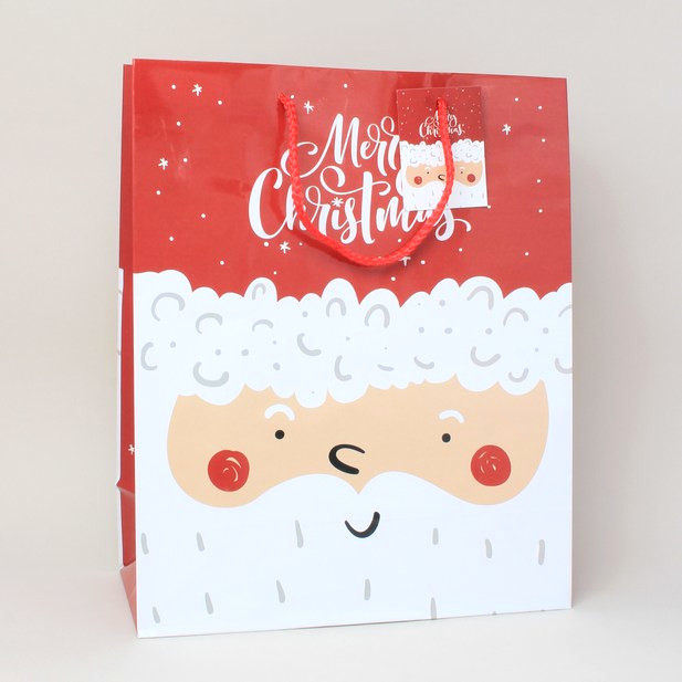 Christmas gift bags - santa printed gift bag