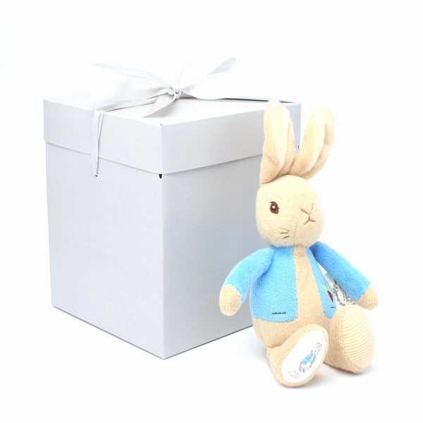 Grey Gift Box With Ribbon