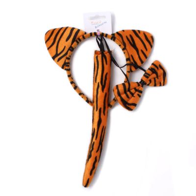 Tiger dress up set