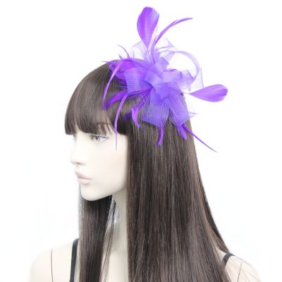 Style Grace. Looped Net Fascinator On A Comb