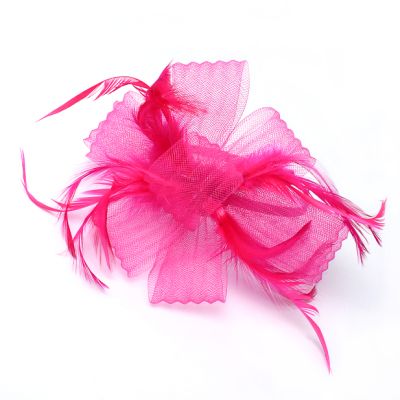 Style Freya. Looped net and feather fascinator on an aliceband