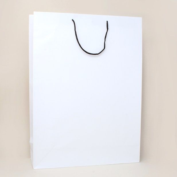 44x32x11cm. White gift bag with black handles main product photo