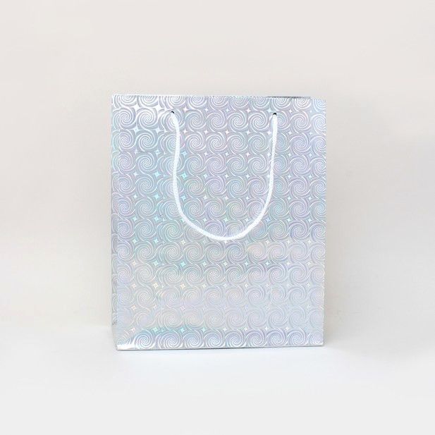 21.5x18x7.5cm. Silver holographic gift bag main product photo