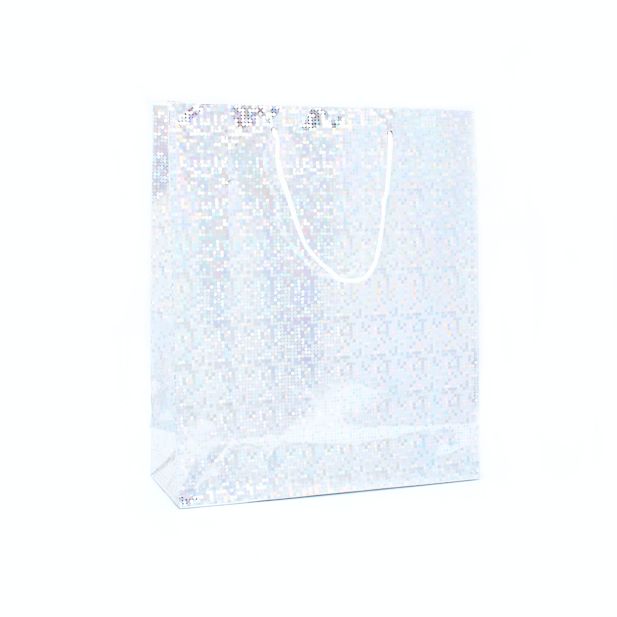 27x23x8cm. Silver holographic gift bag main product photo
