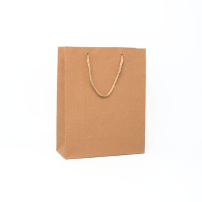 24x19x8cm. Brown kraft paper gift bag