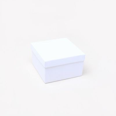 Bangle / Watch box. 10x10x6cm. White gift box.