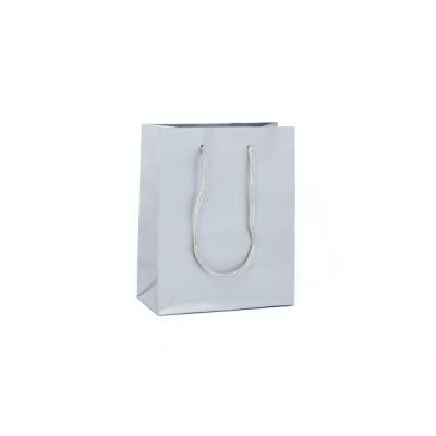 15x12x6cm. Glossy silver gift bag