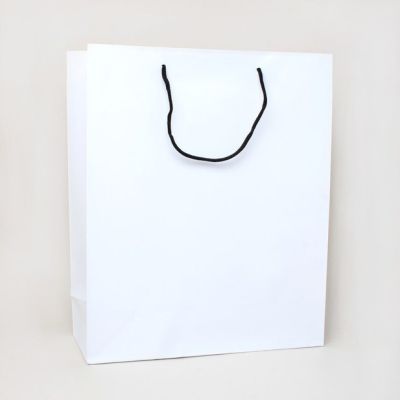 32x26x10cm. White gift bag with black handles