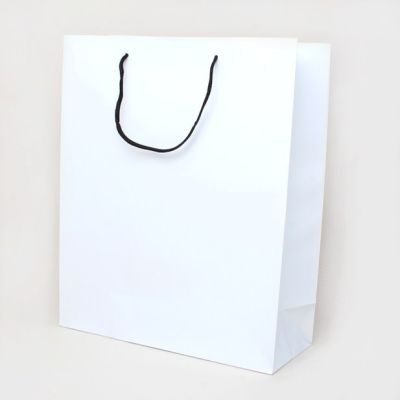 32x26x10cm. White gift bag with black handles