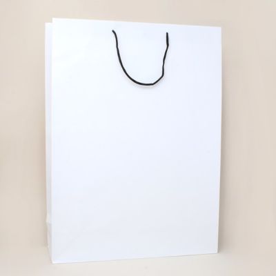 44x32x11cm. White gift bag with black handles