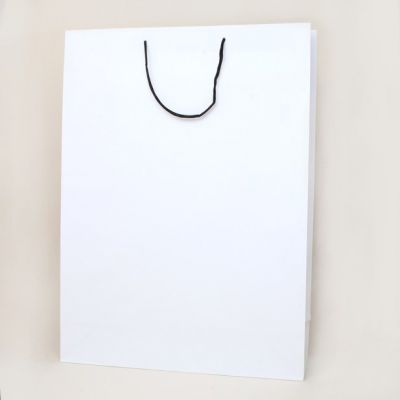 44x32x11cm. White gift bag with black handles