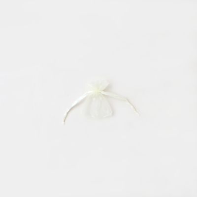 Size 7x5cm Ivory organza bag