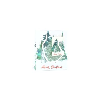 15x12x5.5cm. Christmas tree gift bag with tag