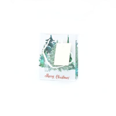 15x12x5.5cm. Christmas tree gift bag with tag