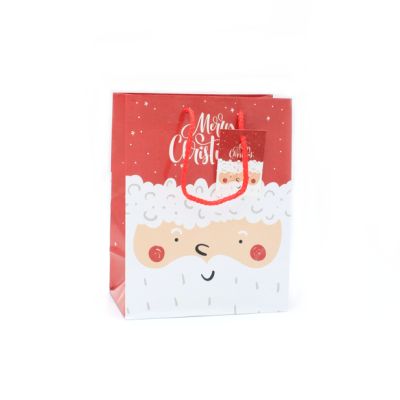 23x18x10cm. Father Christmas gift bag with tag