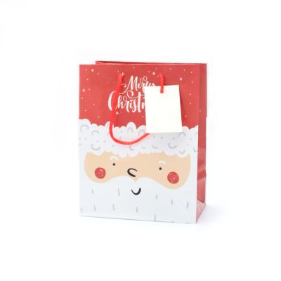 23x18x10cm. Father Christmas gift bag with tag