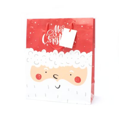 32x26x12cm. Father Christmas gift bag with tag