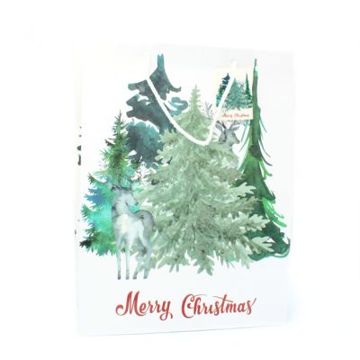 40x30x12cm. Christmas tree gift bag with tag