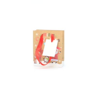15x12x5.5cm. Santa and rudolph gift bag with tag