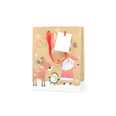 23x18x10cm. Santa and rudolph gift bag with tag
