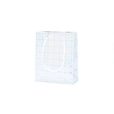 15x12x6cm. Silver holographic gift bag with tag*