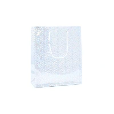 21.5x18x7.5cm. Silver holographic gift bag