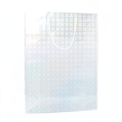 41x31x11cm. Silver holographic paper gift bag