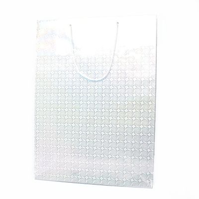 41x31x11cm. Silver holographic paper gift bag
