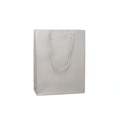 24x19x8cm. Silver printed kraft paper gift bag