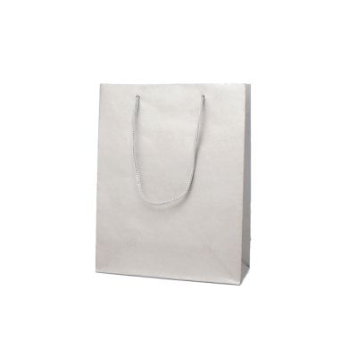 24x19x8cm. Silver printed kraft paper gift bag