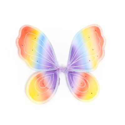 Rainbow net fairy wings 42x34cm