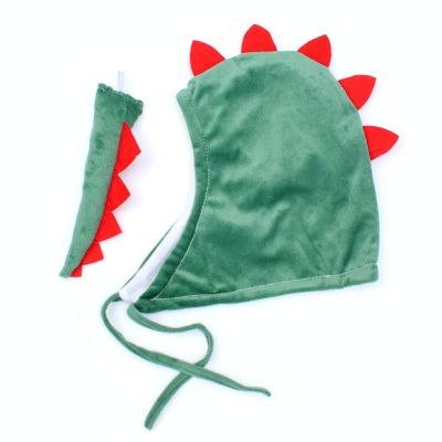Childrens size Dragon hat and tail set