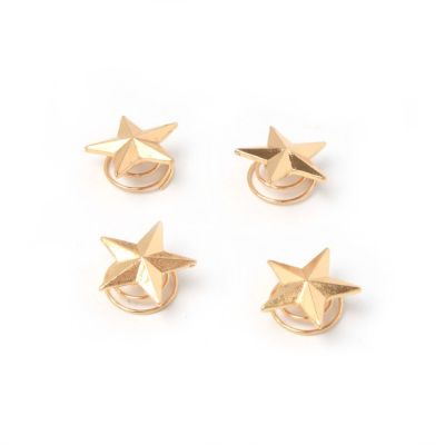 Gold star twist in hair pins
