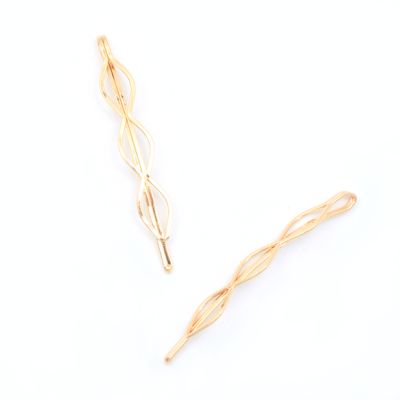 Card of 2 decorative hair slides