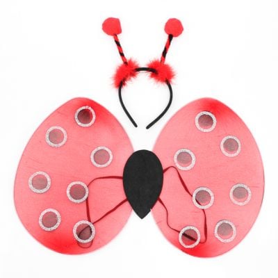 Ladybird wings and deeley bopper set