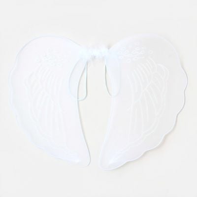 Angel wings 50x38cm