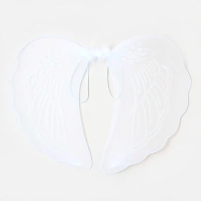 Angel wings 45x38cm