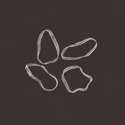 Polyurethane bands - Clear - Purse of 100 - 2mm thick