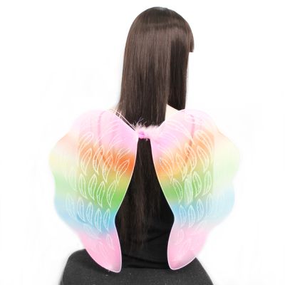 Rainbow Angel wings. 54x47cm