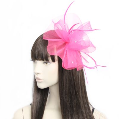 Style Luna. Pink net fascinator on a clip