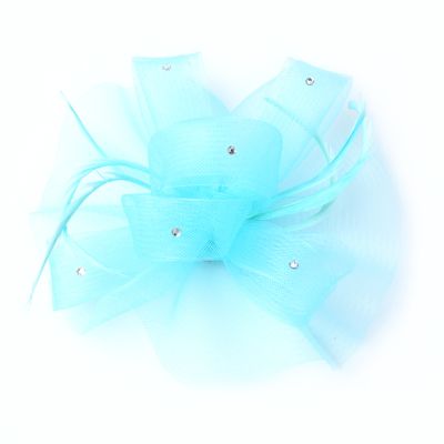 Style Luna. Aqua net fascinator on a clip