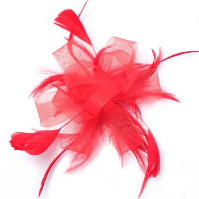 Style Grace. Looped Net Fascinator On A Comb