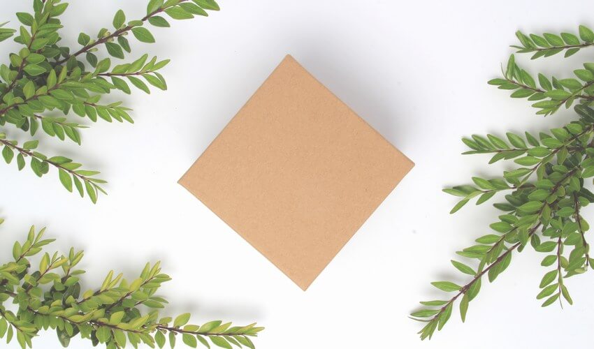 Wholesale Eco Friendly Packaging - Natural Kraft Gift Box With Green Leaves