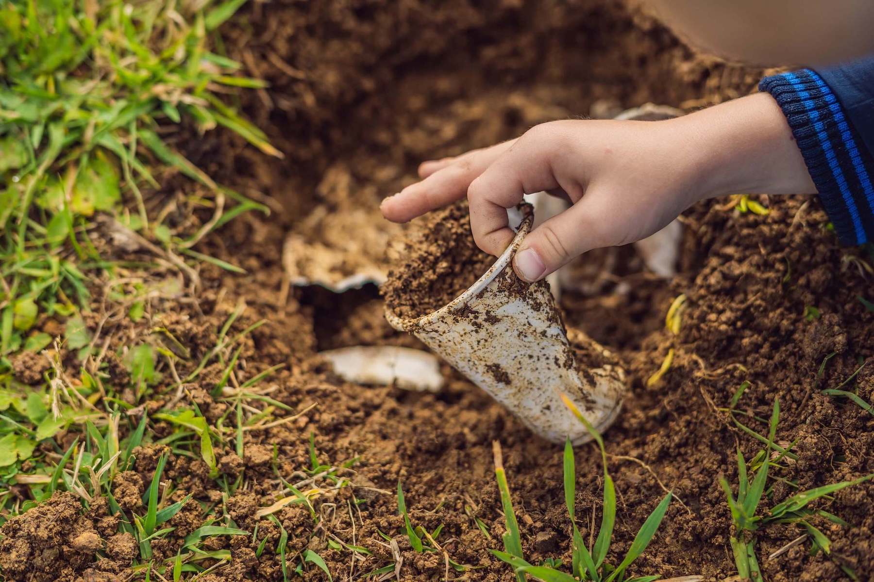 Biodegradable plastic