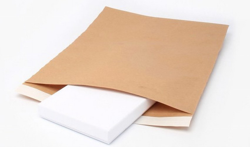 Recyclable Postal Packaging Envelope 