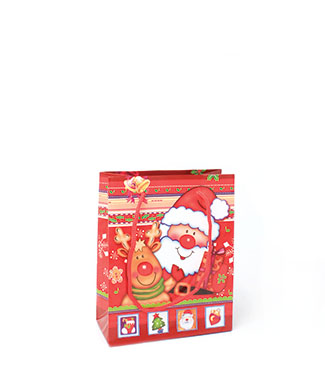 Christmas Packaging